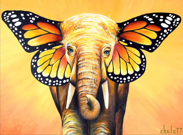 Wings of the Wild