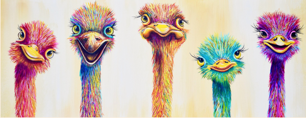 Ostrich Friends
