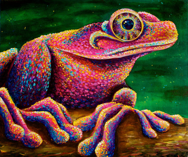 Original of A Princely Frog