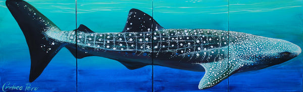 Original of Whale Shark
