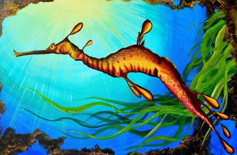 Leafy Sea Dragon