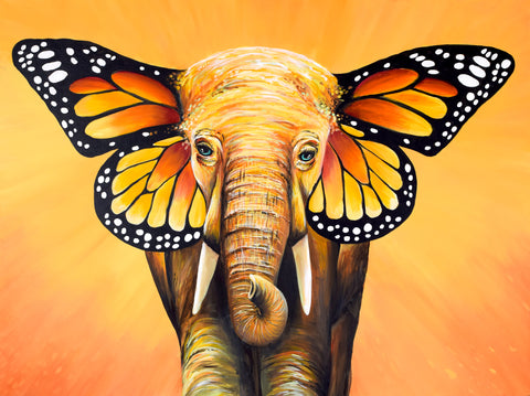 Elephant Butterfly