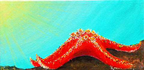 Original Sunshine Starfish
