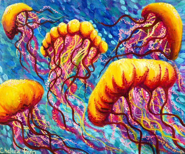 Original Jumping Jellyfish