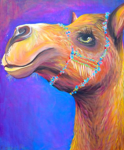 Original of Curious Camel