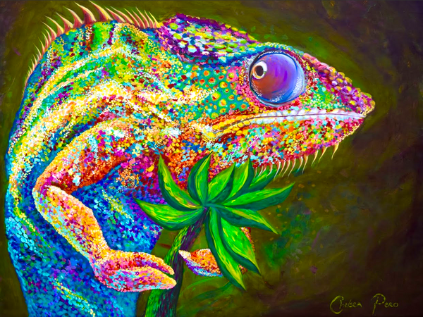 Original of Lizard Wizard